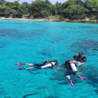 [푸켓] [한국인전용] BIG2 라차섬 + 바나나비치 체험다이빙 