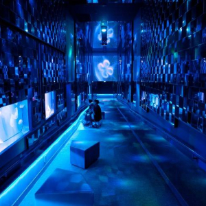 [도쿄] 스미다 수족관 입장권