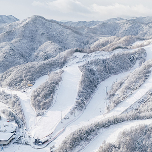 엘리시안 강촌 12월 상시