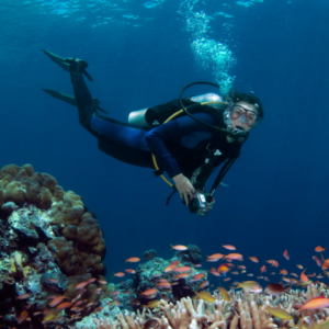 [세부 액티비티 & 데이투어] 스킨 스쿠버 다이빙 - 체험다이빙 (교육+강습+실습/체험+수중 촬영)
