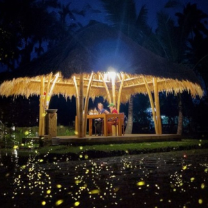 우붓 반딧불이 및 빌리지 이브닝 투어