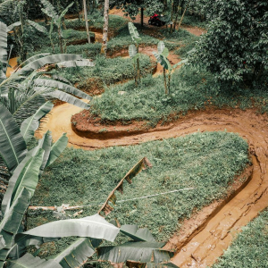 발리 우붓 알라산 어드벤처 프리미엄 ATV 라이딩