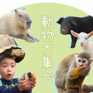 [오키나와] 오키나와 동남식물낙원 입장권