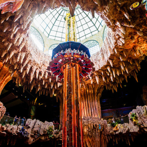 바나힐 왕복셔틀 #호텔픽업드랍 #가이드 #공항드랍 #호이안 #짐보관