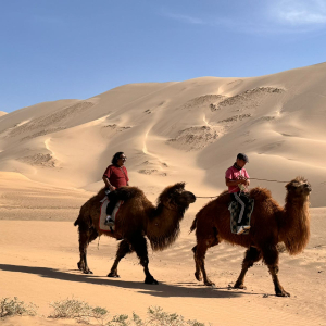 [몽골]6박7일 고비사막 투어