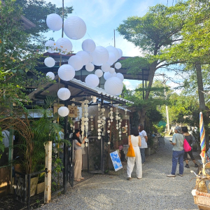 (한국어가이드) 치앙마이 반캉왓 + 엘리핀 팜 단독 투어