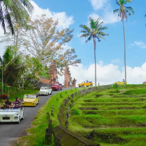 발리 우붓 스윙 및 VW 빌리지 투어