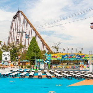  [도쿄][도쿄 디즈니랜드·디즈니씨] 단독 차량 픽업 & 샌딩 – 편안하고 안전한 이동! 