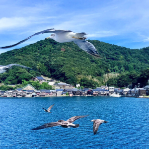 (한국어/영어) 아마노하시다테 & 이네후나야 & 미야마 가부키노사토 버스 투어 