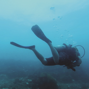 [코타키나발루] 체험다이빙