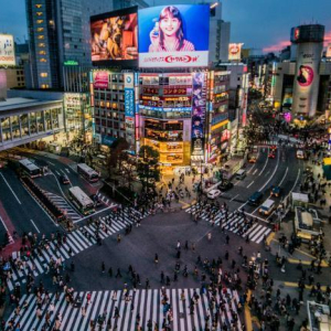  [도쿄](도쿄시내투어])자유롭게 코스변경이 가능한 도쿄시내 1일  프라이빗투어! 2명부터가능~