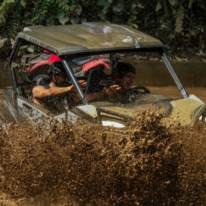 [발리] 우붓 알라산 어드벤처 프리미엄 버기 UTV 라이딩