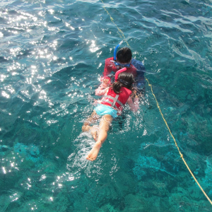 괌 오리지널 돌핀크루즈 by 스타호