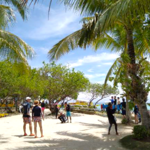 [세부호핑] 세부 호핑따요 - 힐루뚱안, 날루수안, 점심식사 포함