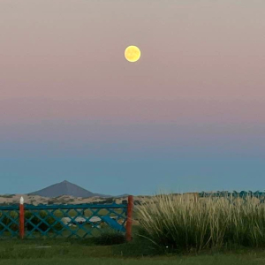 몽골 아르항가이 미니 고비사막 단독 투어 / 울란바토르 출발