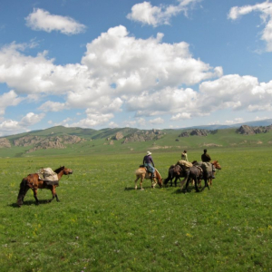 [몽골]3박4일 중부투어