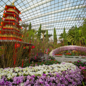 [정원투어] 가든스 바이 더 베이 : 플라워 돔/클라우드 포레스트/플로럴 판타지