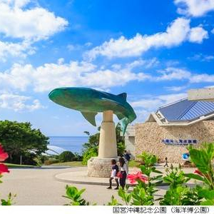 [오키나와] 츄라우미 수족관