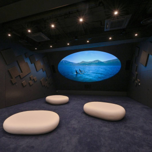 [고베] 고베 스마 씨월드 1일권 (11시 이후 가능)