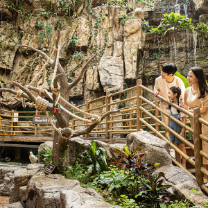 [일산] 아쿠아플라넷 입장권(2/1~2/28)