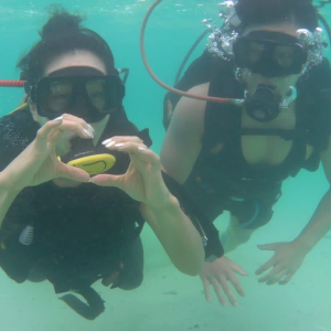 코타키나발루 사피섬 + 마누칸 또는 마무틱 섬 투어