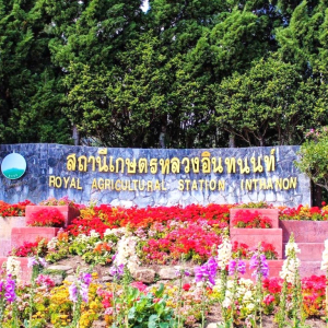 (한국어가이드) 치앙마이 도이인타논 국립공원 트레킹 단독 투어