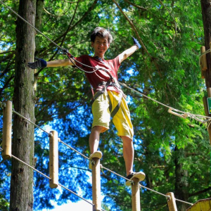 [가나가와] 포레스트 어드벤처 하코네 어드벤처 코스