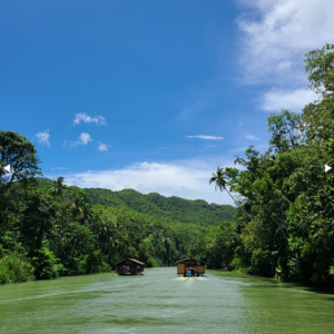 [보홀] 육상데이 ICM몰 반딧불