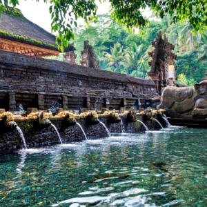 (한국어가이드) 발리 우붓 단독 투어 & 공항 샌딩