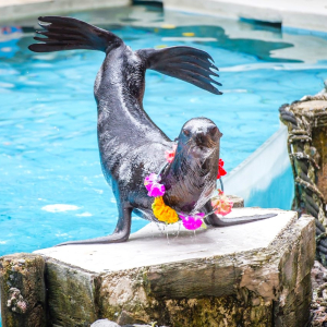 (한국어가이드) 방콕 사파리 월드 단독 투어
