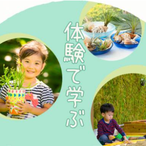 [오키나와] 오키나와 동남식물낙원 입장권