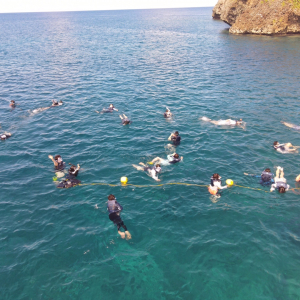[괌]프린세스호 힐링 돌핀크루즈 with 해먹