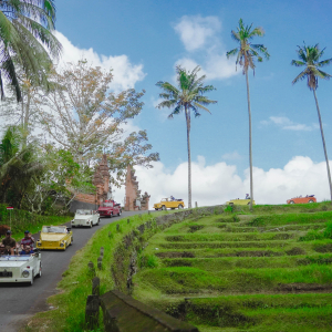 옐로 가든 아융강 래프팅 & 우붓 VW 투어