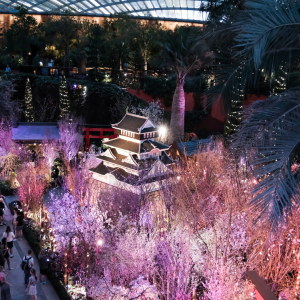[정원투어] 가든스 바이 더 베이 : 플라워 돔/클라우드 포레스트/플로럴 판타지