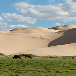 [몽골]6박7일 홉스골 투어