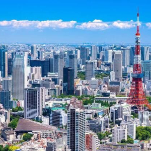  [도쿄] [입국 후 바로 여행] 단독 도쿄 반나절 투어 (공항 픽업 & 호텔 드롭) 반대도 가능!!