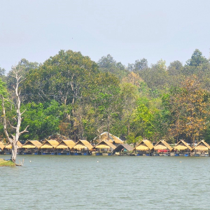 (한국어가이드) 치앙마이 몬쨈 + 후웨이퉁타오 호수 단독 투어