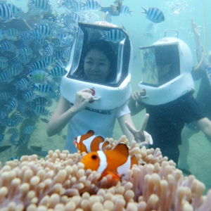 코타키나발루 사피섬 + 마누칸 또는 마무틱 섬 투어