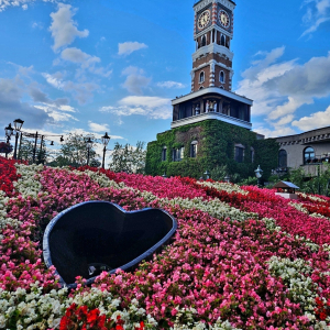 [삿포로] 북해도 샤코탄&오타루 1일 버스투어 라쿠투어 [라쿠투어]