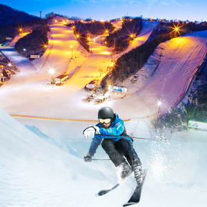 엘리시안 강촌 동계시즌 강습권 상시