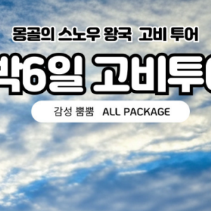 [겨울몽골]5박6일 고비사막+테를지