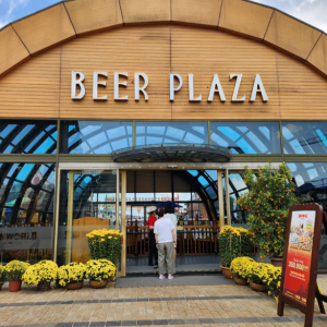 [다낭] 실속 바나힐 야간 입장권 왕복차량 (최대 8시간, 공항드랍 가능)