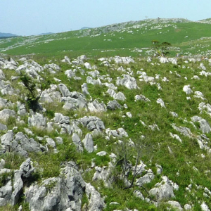 [야마구치]기타큐슈 야마구치 버스투어 부관훼리 시모노세키항 경유