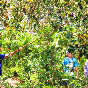 (한국어가이드) 메콩강 단독 투어 / 호치민 출발