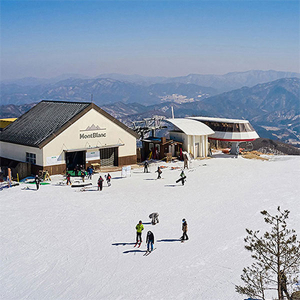 25/26 평창 휘닉스파크 스키 리프트&눈썰매 이용권