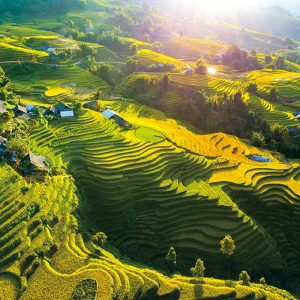 (한국어가이드) 사파 1박 2일 단독 투어 / 하노이 출발