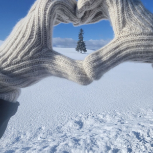 [🍤준페이매장식사🍤][매일출발♥️] 북해도  비에이 후라노 삿포로 버스투어 [라쿠투어]