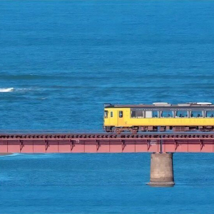 (한국어 가이드) 교토 아마노하시다테 이네후나야 일일 버스 투어