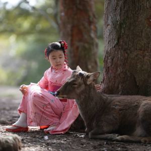 [교토]교토 기모노 대여 체험, 럭셔리 수제 실크 후리소데 
