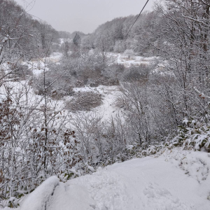 [홋카이도] 포레스트 어드벤처 에니와 체험권 (짚트립 투어)